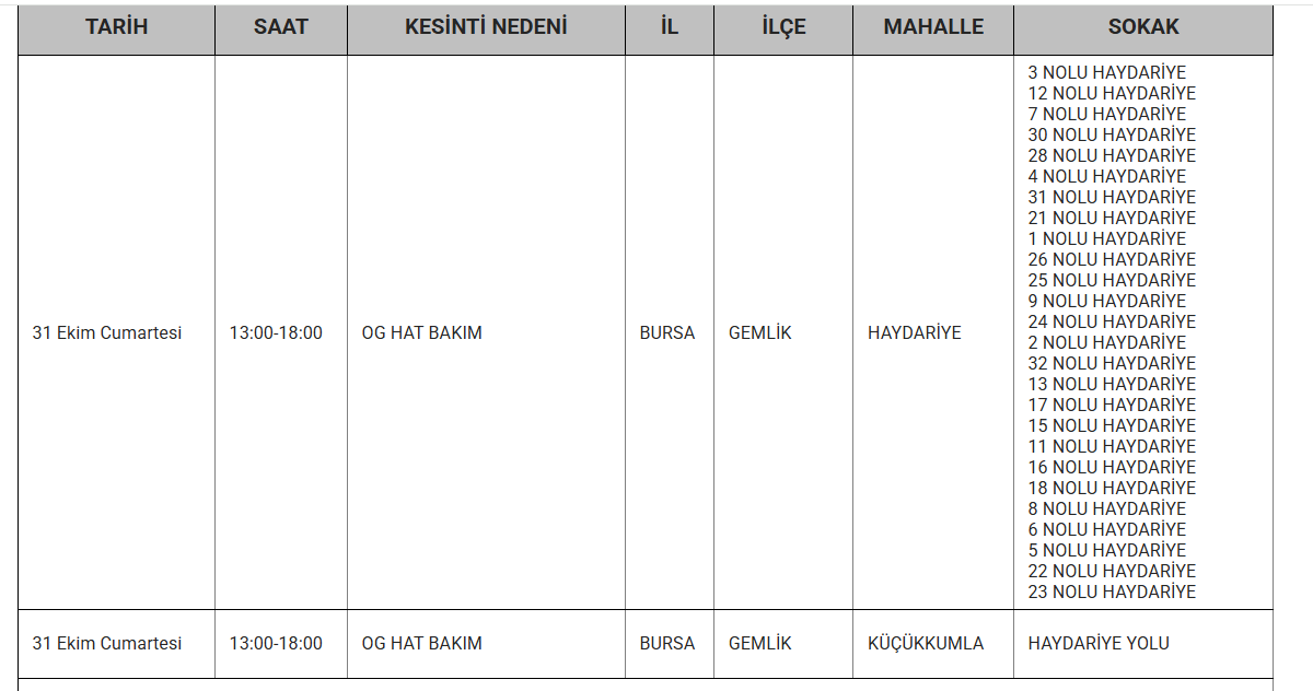 Bursa elektrik kesintisi 30-31 Ekim!