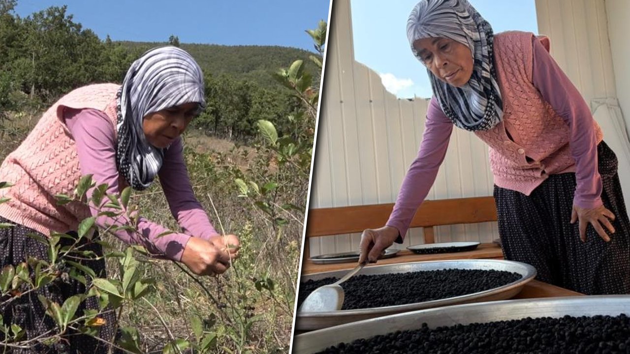 Oğlunun tavsiyesiyle ekti! Reçelini 400 liradan satıyor