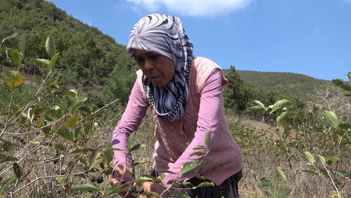 Oğlunun tavsiyesiyle ekti! Reçelini 400 liradan satıyor