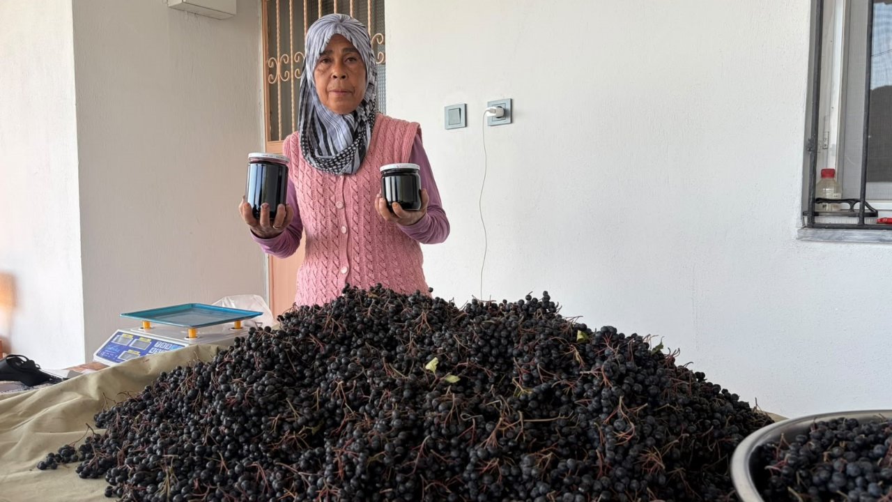 Oğlunun tavsiyesiyle ekti! Reçelini 400 liradan satıyor