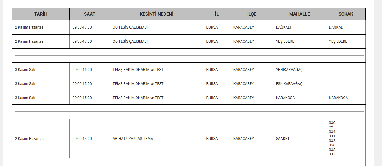 Bursa elektrik kesintisi 1-2-3 Kasım UEDAŞ programı (İnegöl, Orhangazi, Gemlik, Mustafakemalpaşa...)