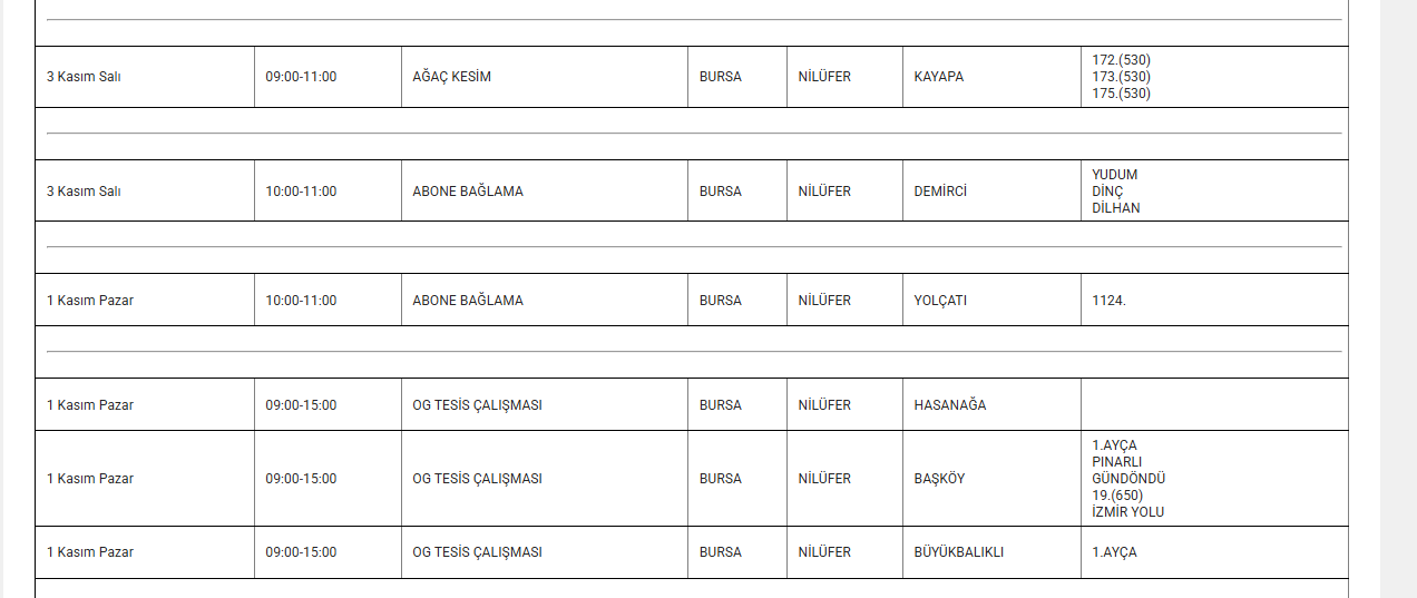 Bursa elektrik kesintisi 1-2-3 Kasım UEDAŞ programı (İnegöl, Orhangazi, Gemlik, Mustafakemalpaşa...)