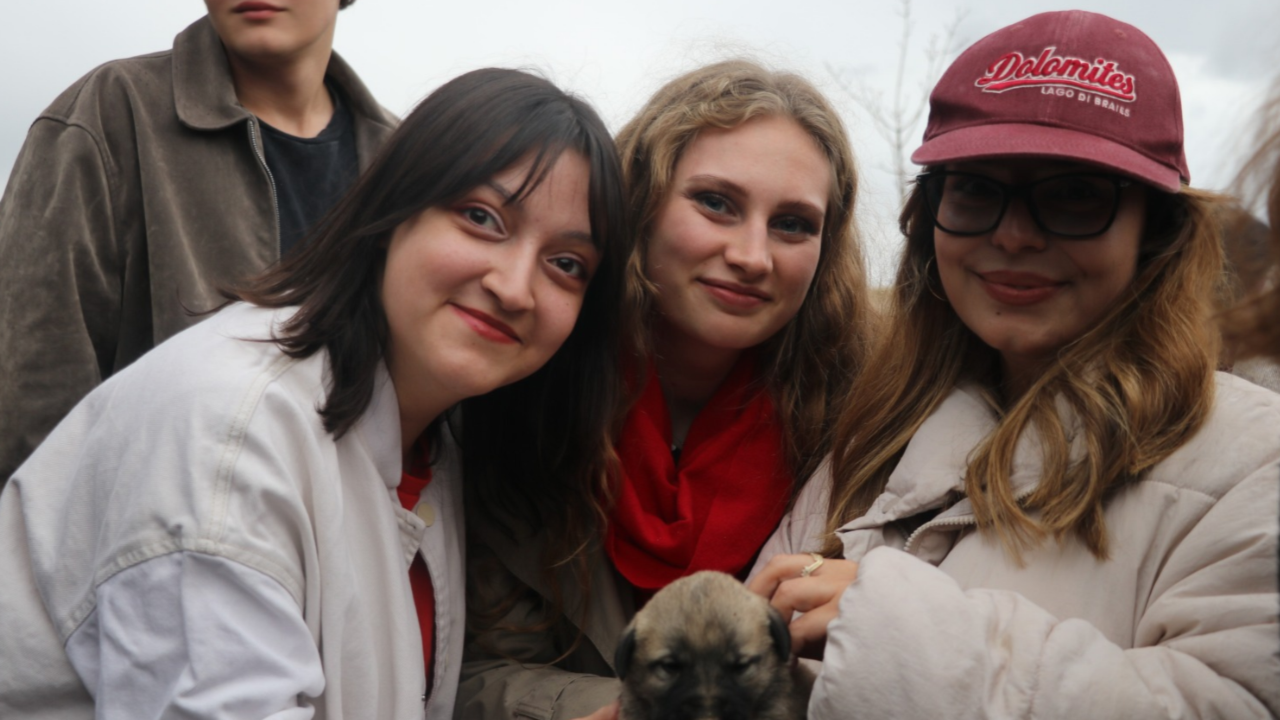 Erasmus için gelmişlerdi! İlk kez kangal gören yabancı öğrenciler hayranlıklarını gizleyemedi