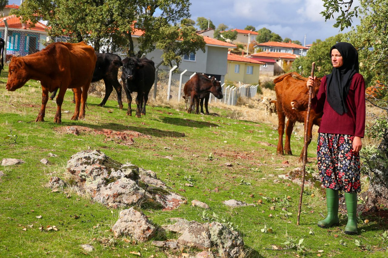 İki inekle başlamıştı! Dev besihaneye ulaştı, köyün hanımağası oldu