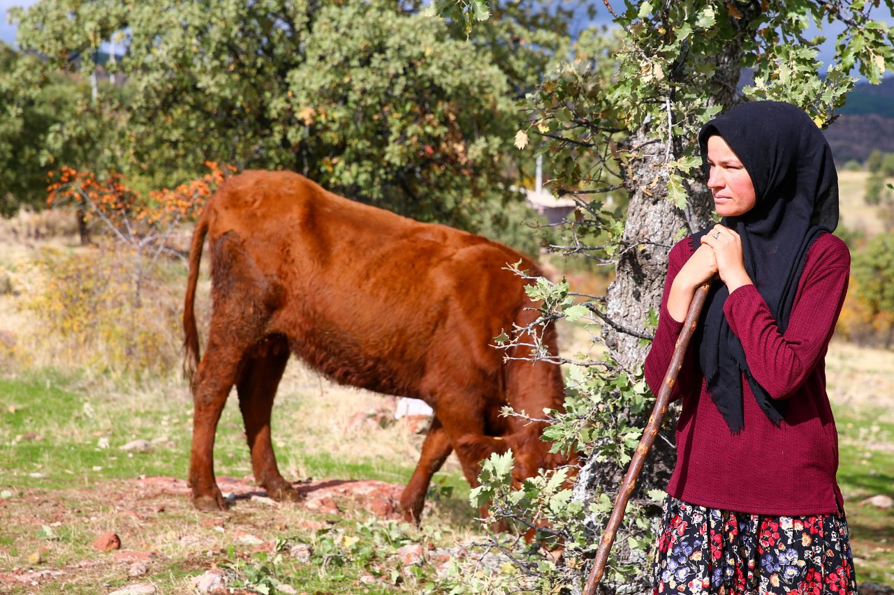 İki inekle başlamıştı! Dev besihaneye ulaştı, köyün hanımağası oldu