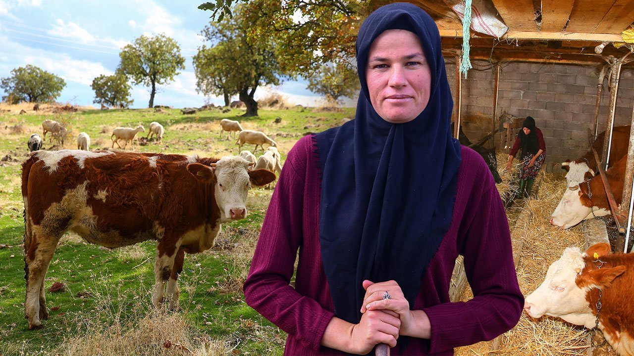 İKİ İNEKLE BAŞLAMIŞTI!