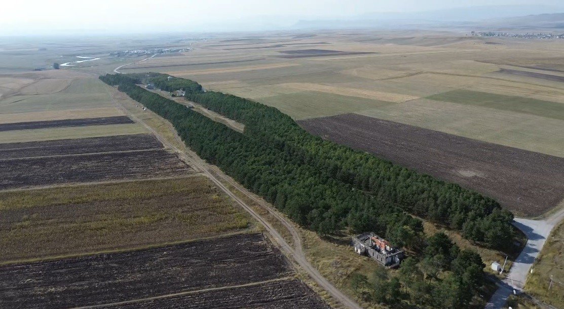 Kars'ta 55 yıl önce dikilen 17 bin fidan ormana dönüştü!