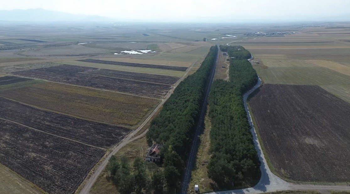 Kars'ta 55 yıl önce dikilen 17 bin fidan ormana dönüştü!