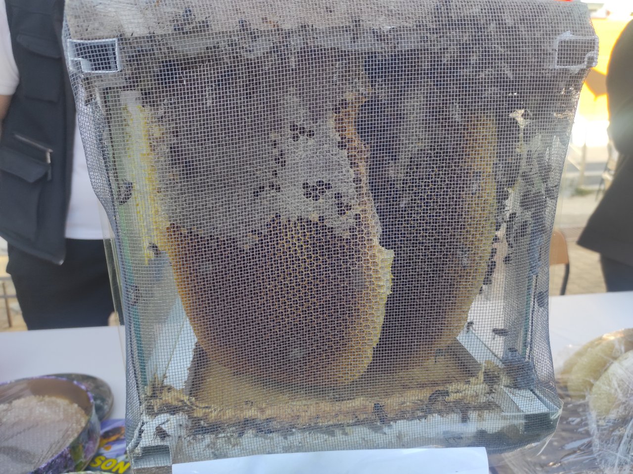 Fiyatı altınla yarışıyor: 1 kilogramı 400 bin lira!