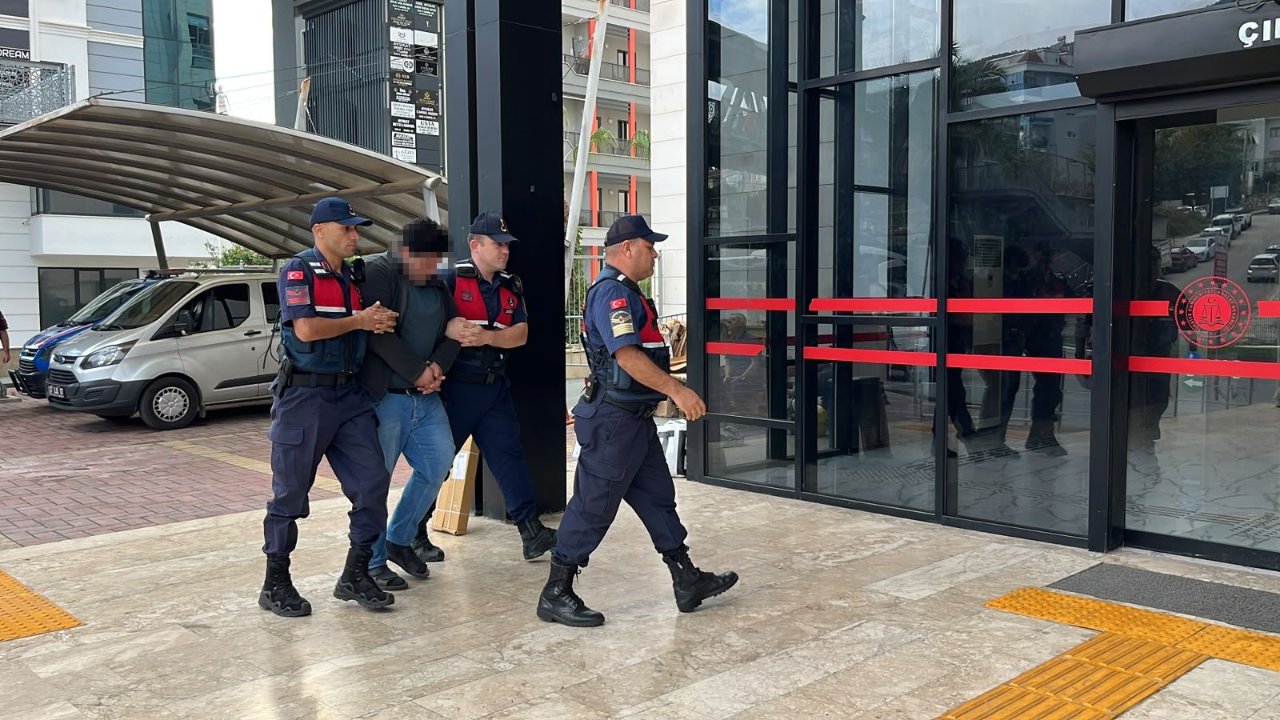 Kafasını ağzıyla kopardı! Kuşlara yönelik dehşet görüntüleri cezasız kalmadı