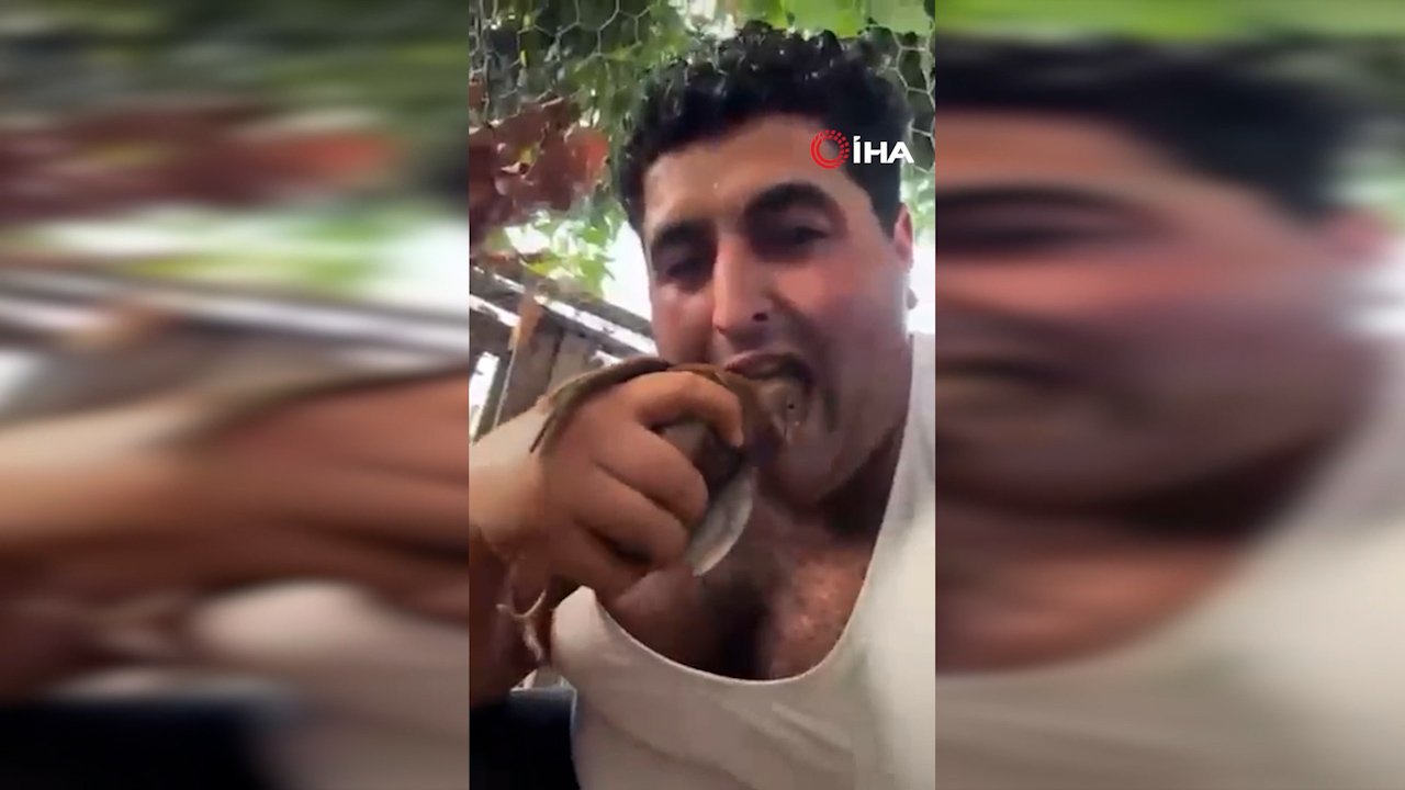 Tepki çeken görüntülerin ardından harekete geçildi! Kuşları katleden şahıs cezaevine gönderildi