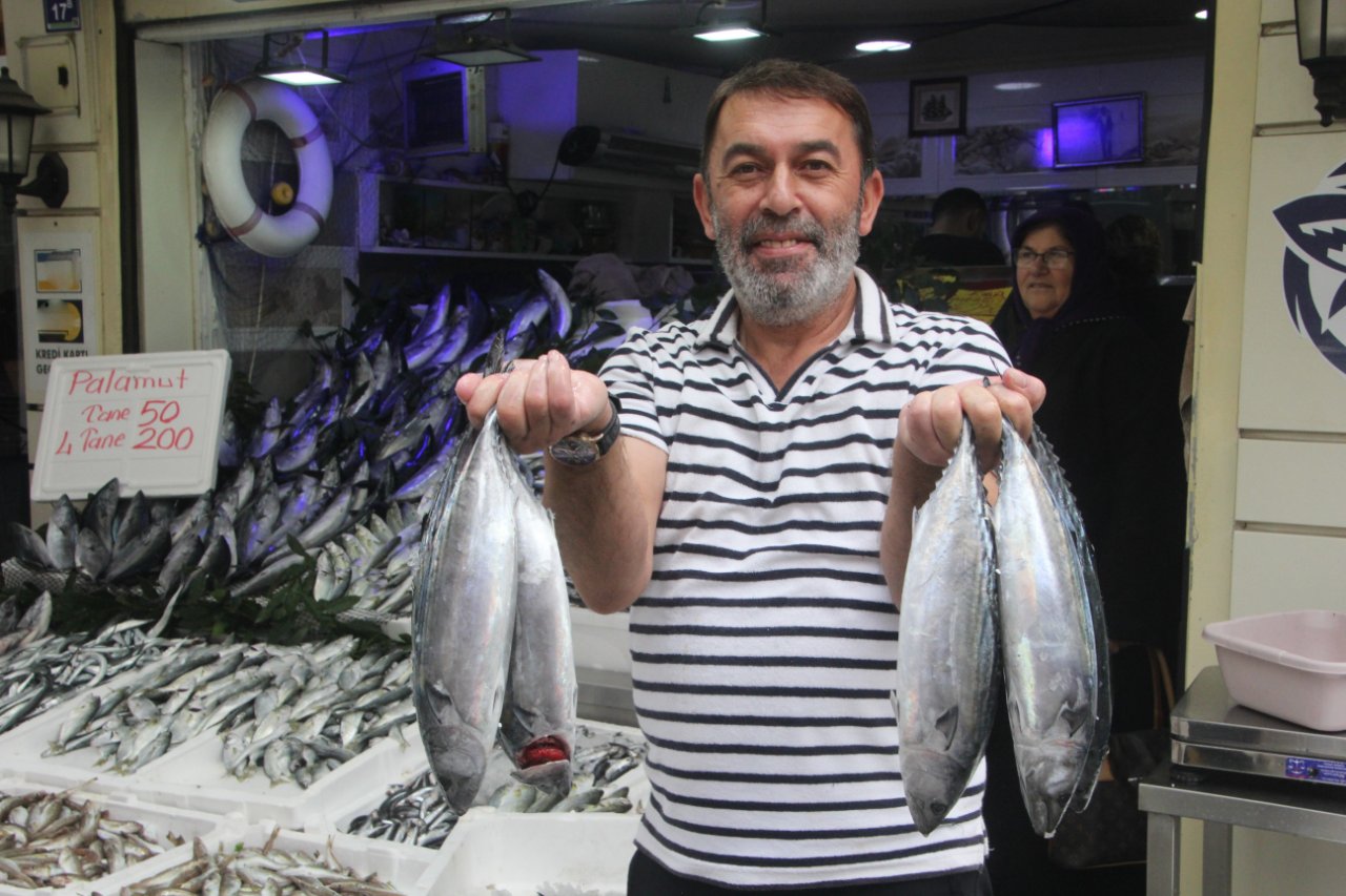 Fiyatını duyan balıkçıya koştu! Tezgahların en ucuzu palamut