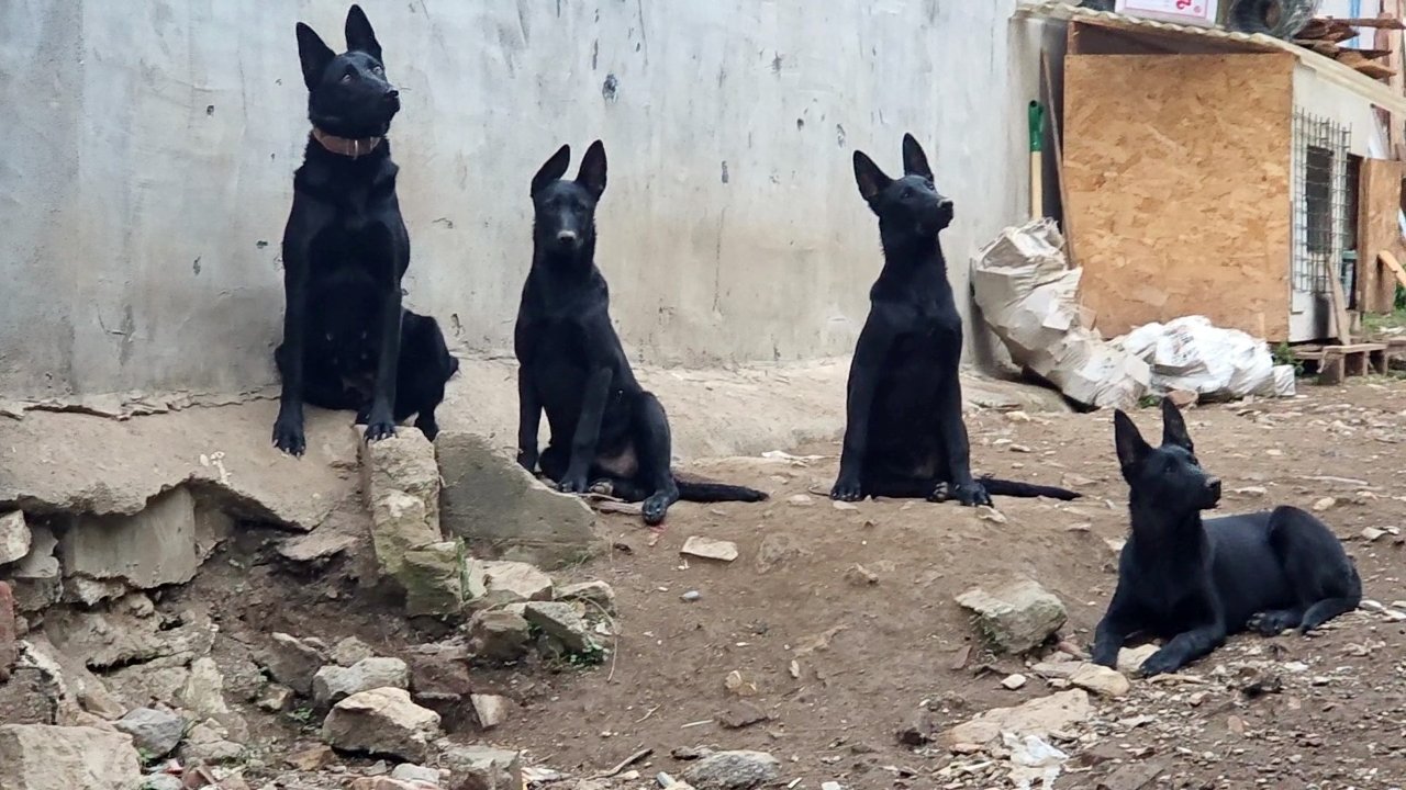 Mahalleli isyan etti, sahibi meydan okudu: Belediye de dokunamaz, kimse kaldıramaz!