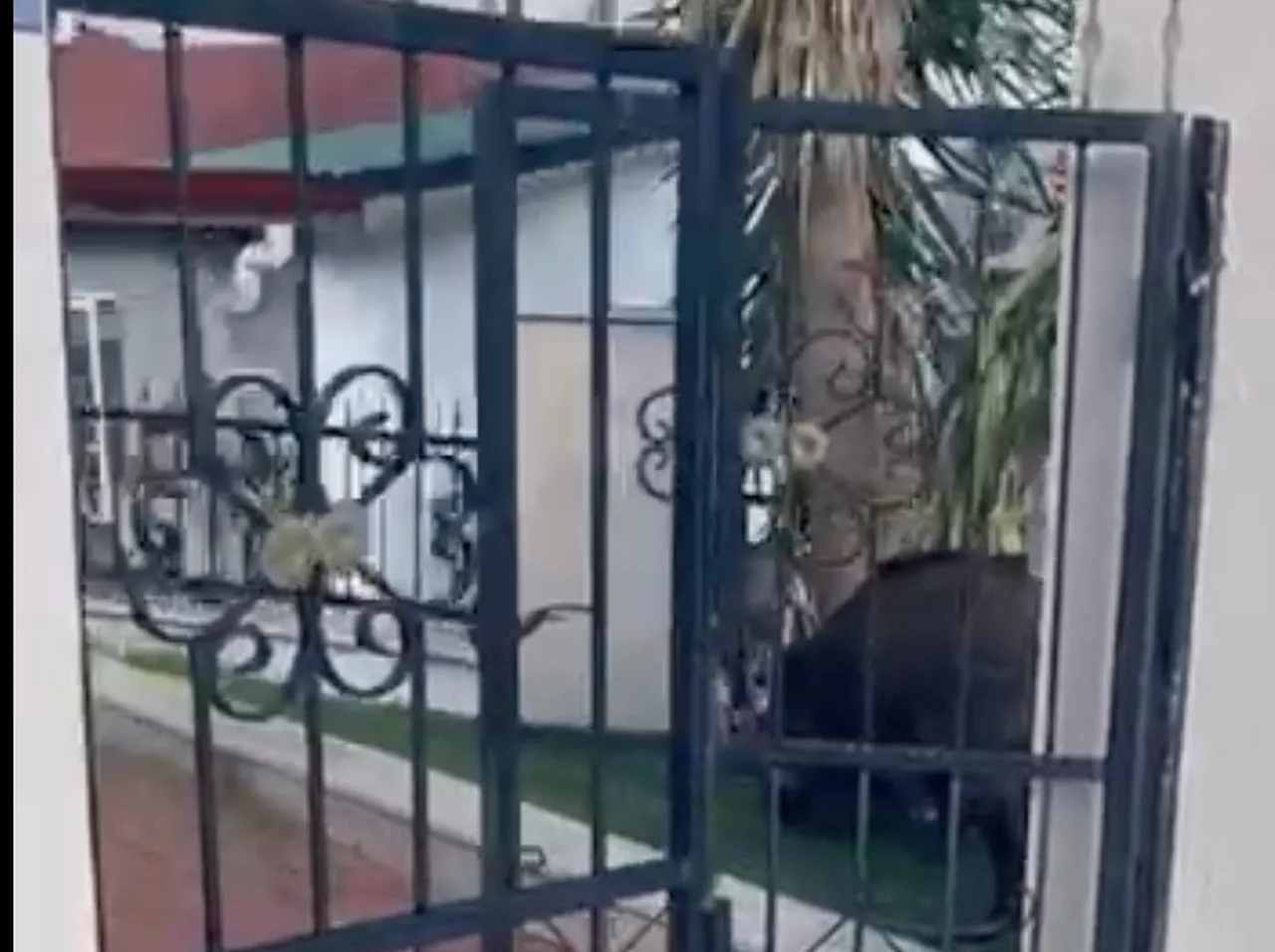 Marmaris Belediyesi davalık oldu! Mahkeme ‘haksız’ buldu