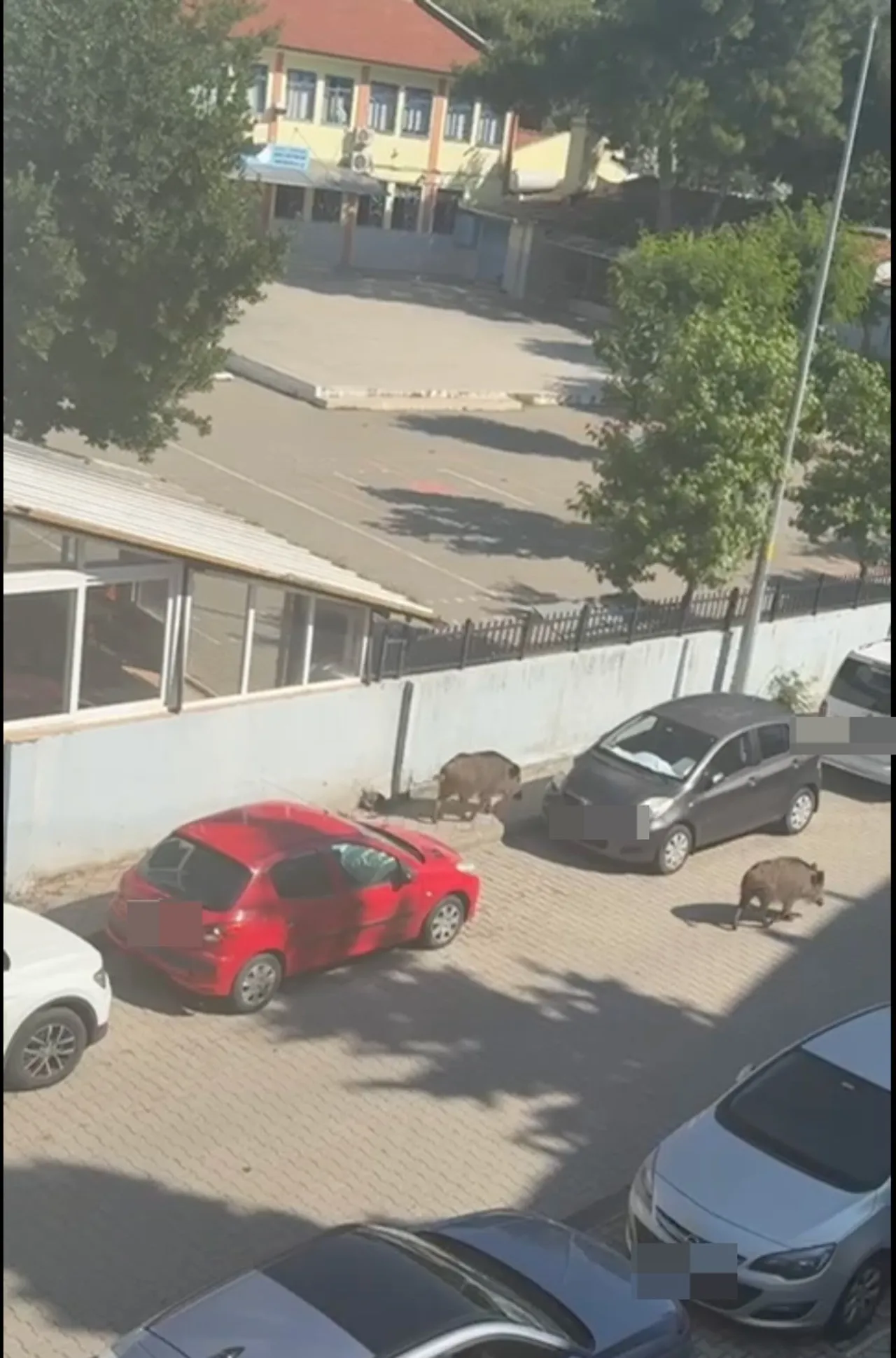 Marmaris Belediyesi davalık oldu! Mahkeme ‘haksız’ buldu