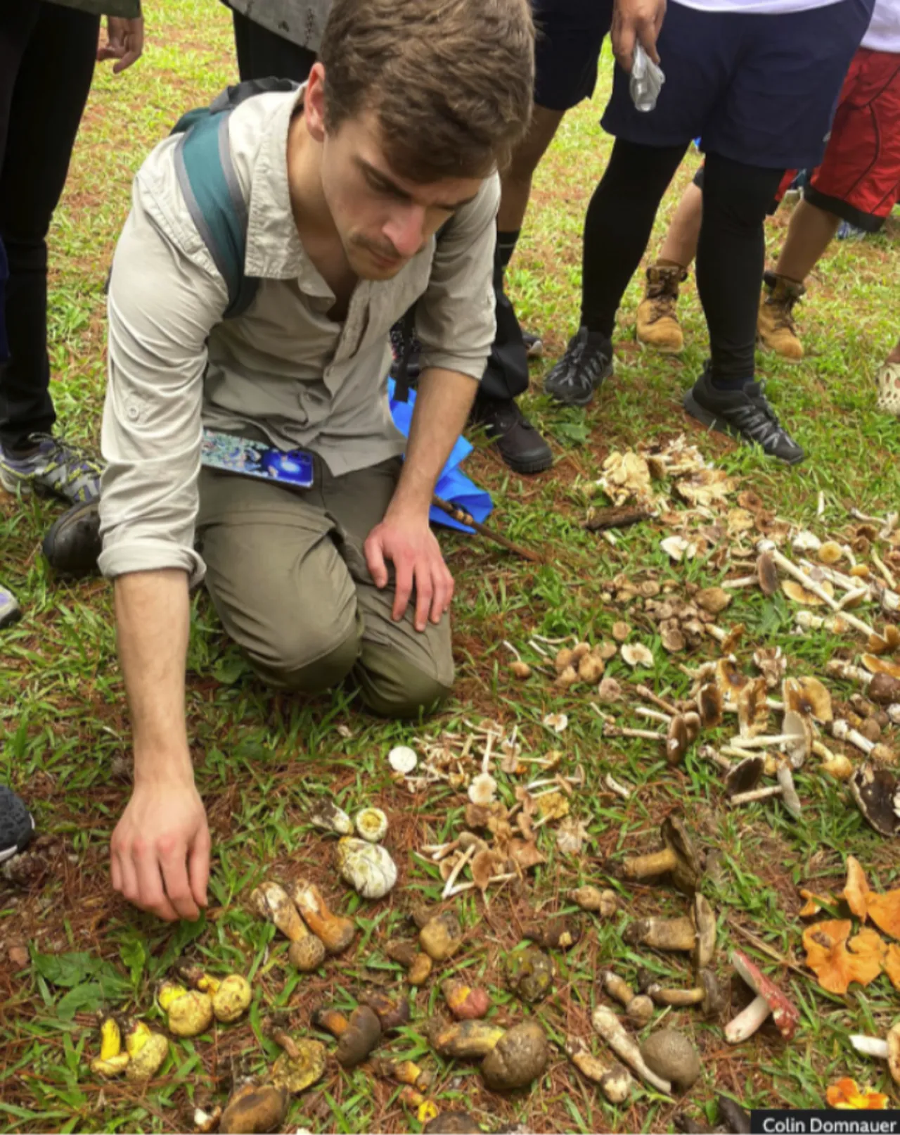15 dakika kuralını çiğneyen küçük insancıklar görüyor! Zamanlayıcıyla servis edilen mantarın gizemi