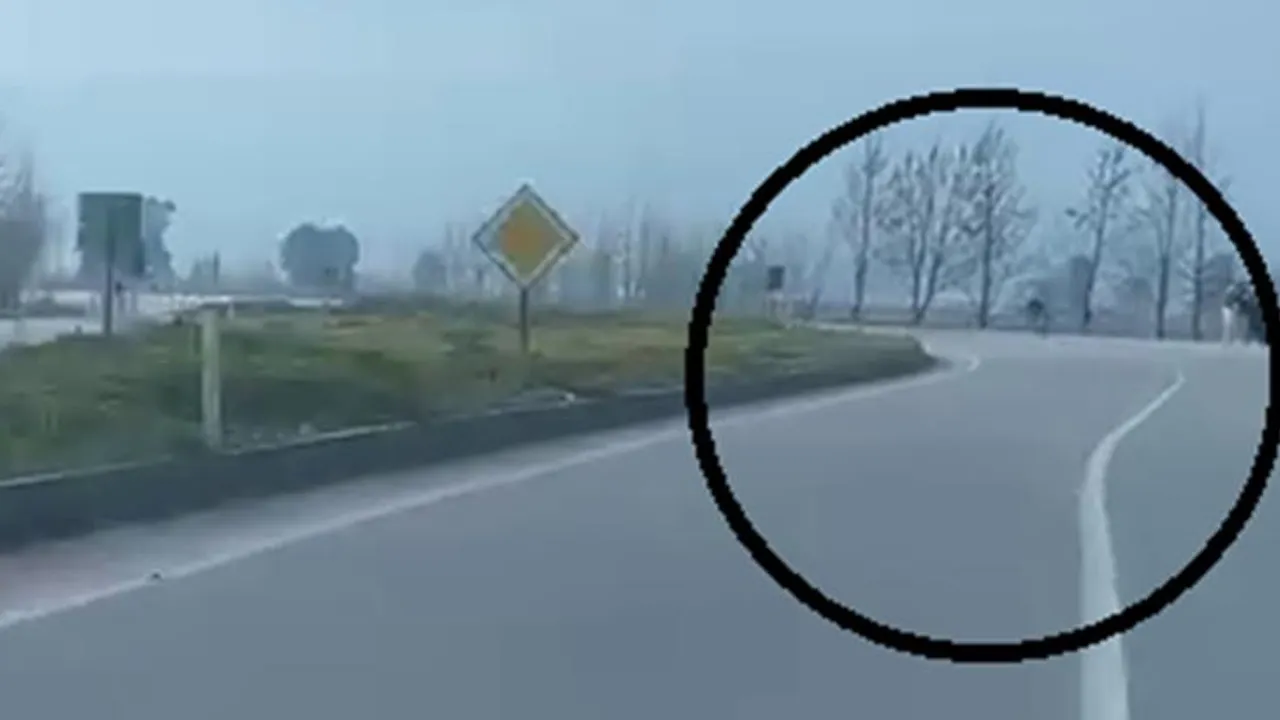 Akrobatik hareketler yaparken tarlaya uçtu!