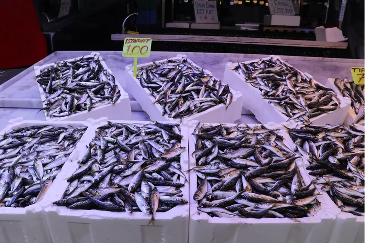 Ne hamsi ne de istavrit! İşte tezgahların en ucuz balığı: Kilosu 75 lira