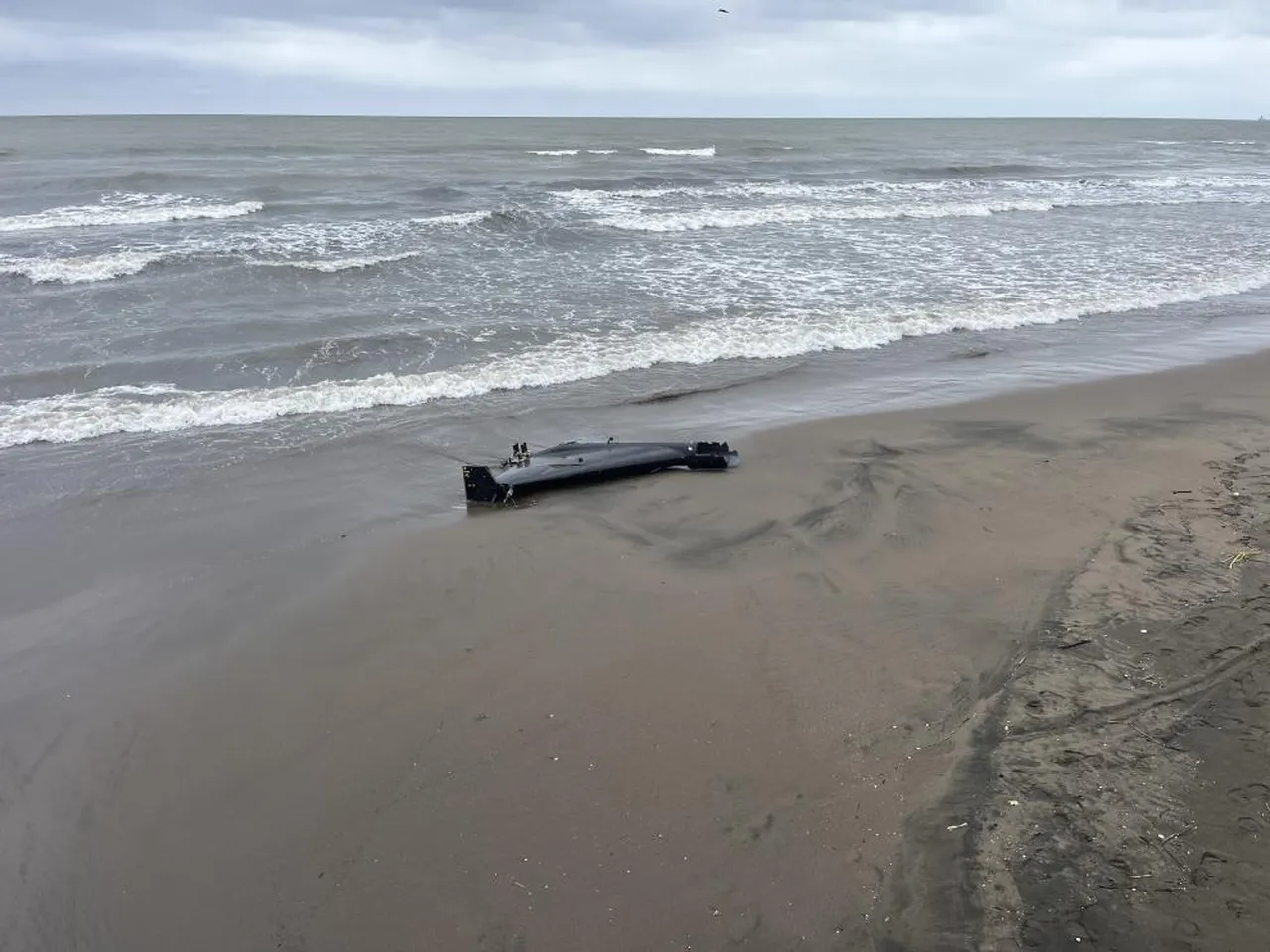 Ordu'da sahile insansız hava aracı parçası vurdu! Gören telefona sarıldı