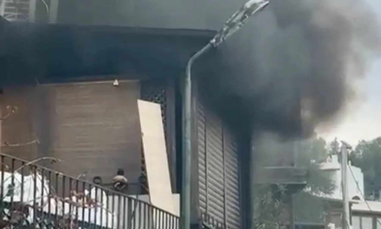 ‘Veganım’ diyerek balıkları denize dökmüştü! Şaşırtan geçmişi ortaya çıktı