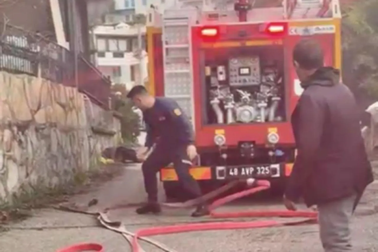 ‘Veganım’ diyerek balıkları denize dökmüştü! Şaşırtan geçmişi ortaya çıktı