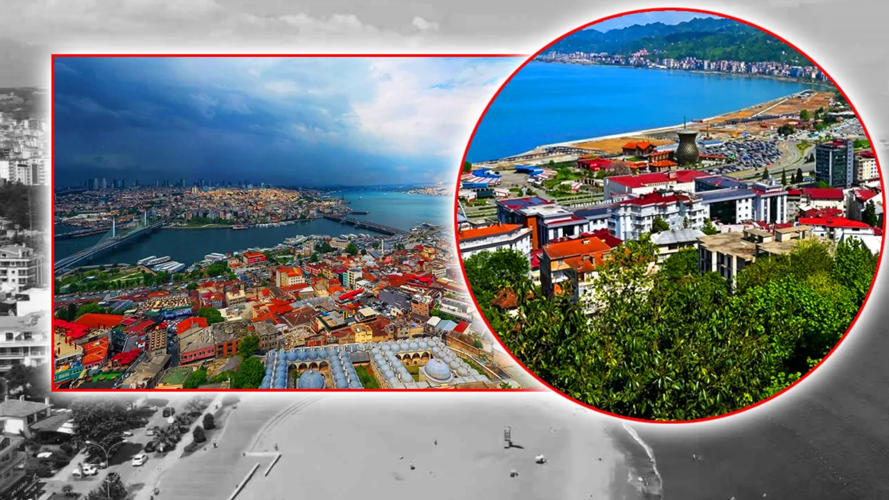 2017’nin kabusu! Karadeniz’den sonra Marmara’da da görüldü: Sayısı 10 bine çıkabilir