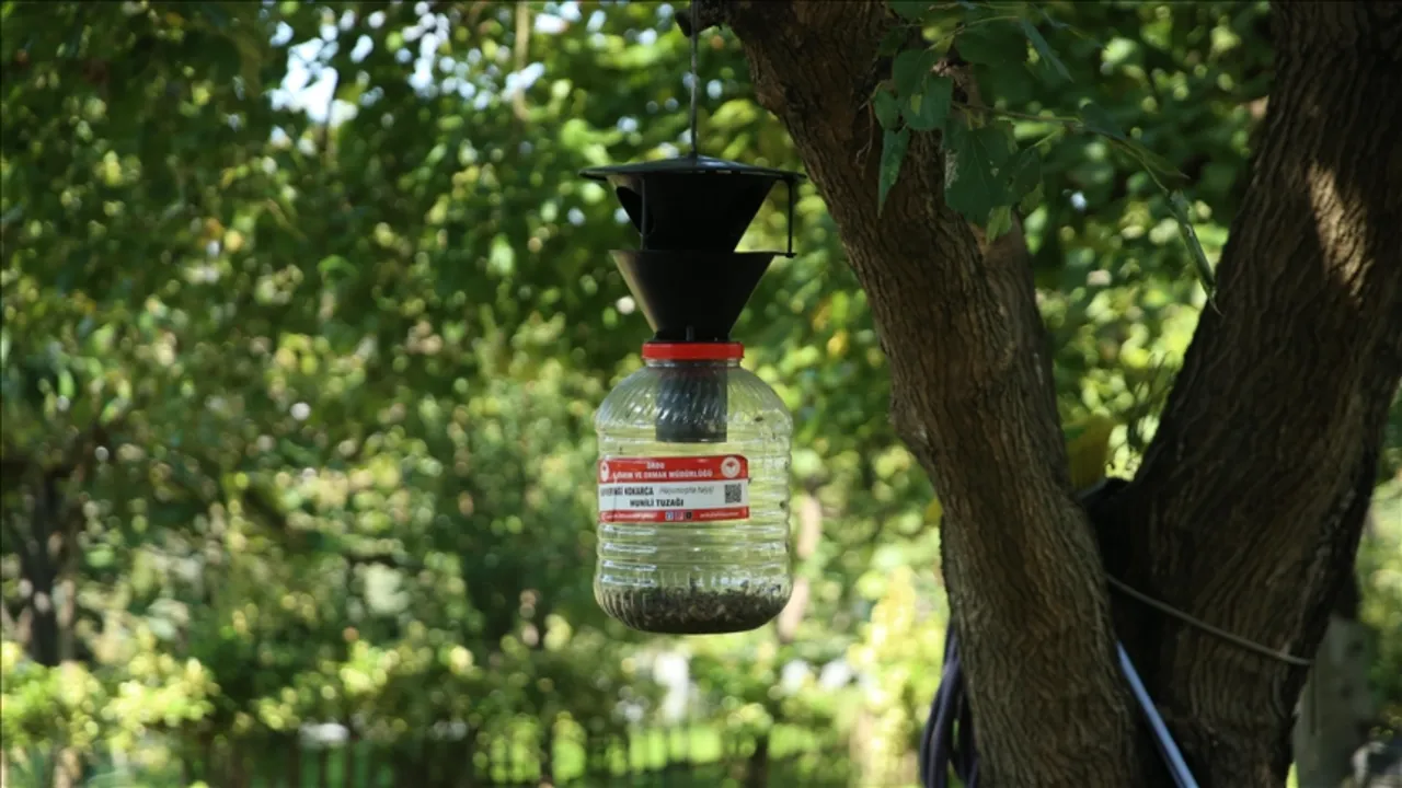 2017’nin kabusu! Karadeniz’den sonra Marmara’da da görüldü: Sayısı 10 bine çıkabilir