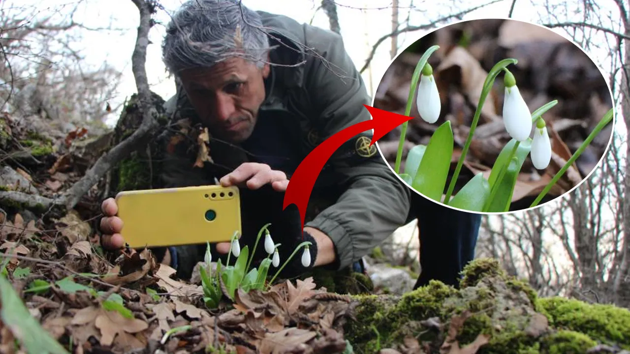 Avrupa'da 15 bin, Türkiye'de 12 bin tür var! Hepsi milli servet