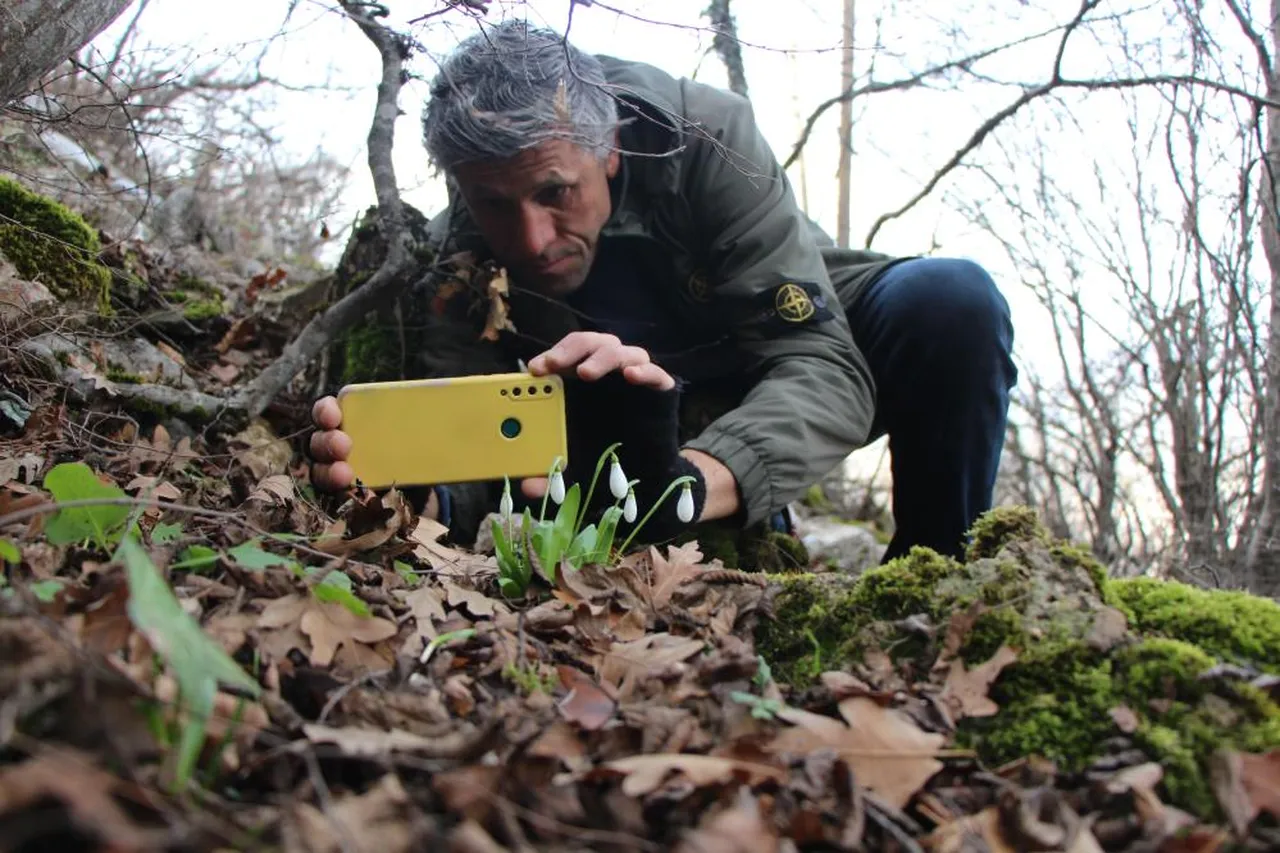 Avrupa'da 15 bin, Türkiye'de 12 bin tür var! Hepsi milli servet