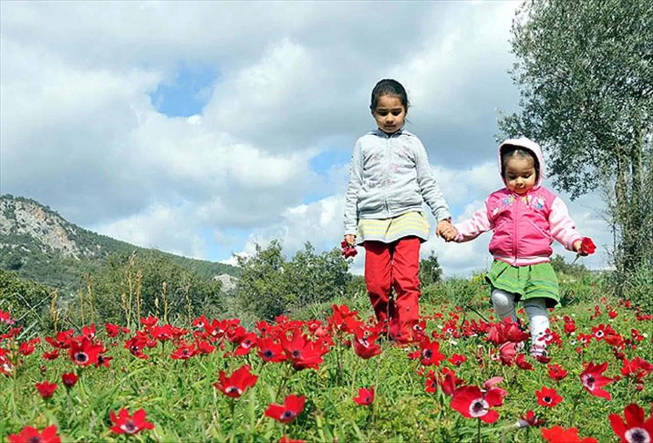 Havalar ne zaman ısınacak, ilk cemre ne zaman düşecek? 2026 cemre düşme tarihleri