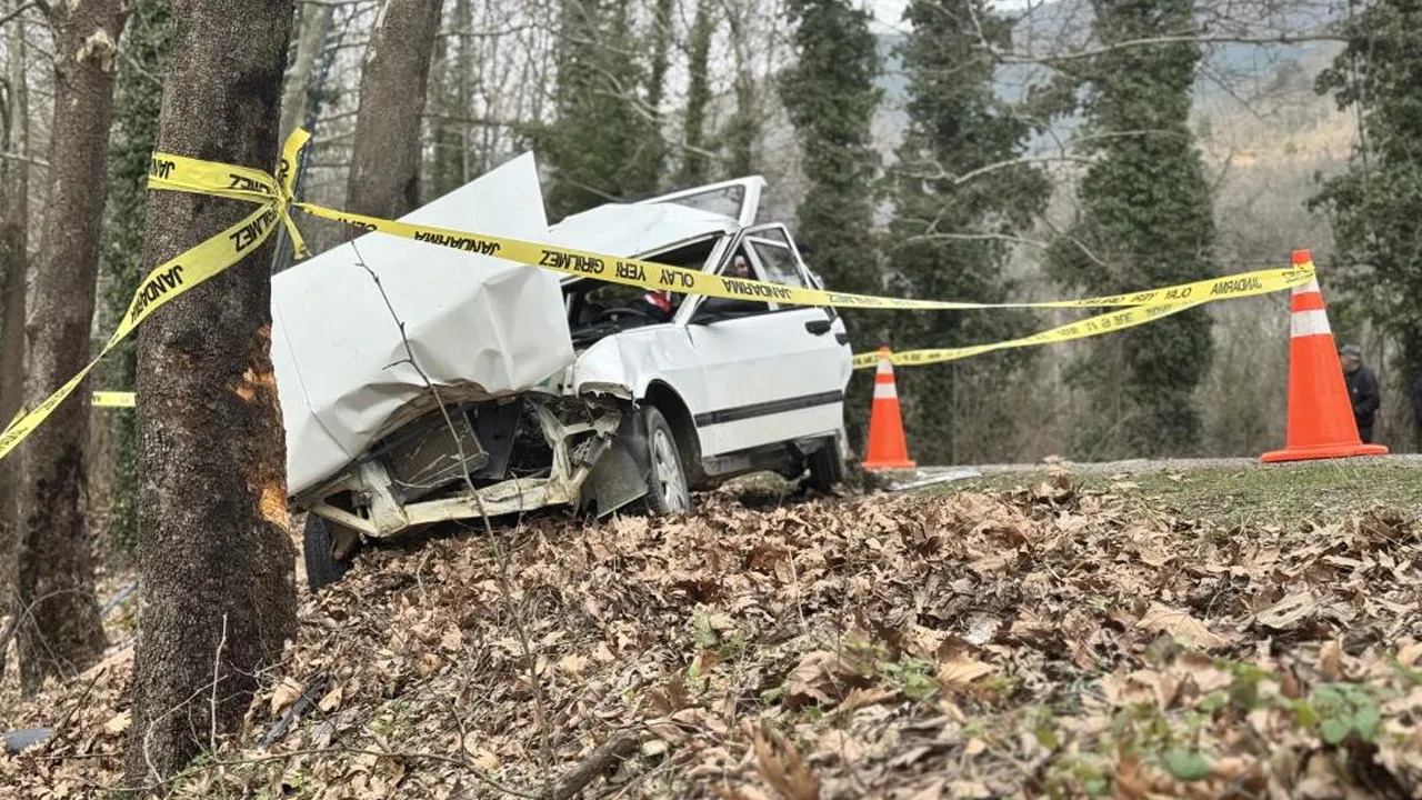 Karabük'te feci kaza! Otomobil ağaca çarptı: 1 ölü, 2 yaralı