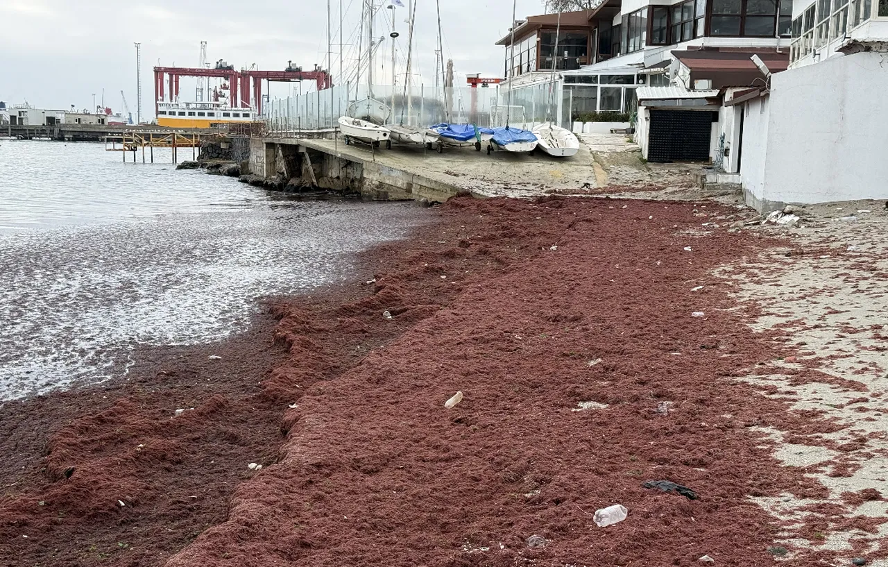Sahil kırmızıya boyandı! Kötü koku yapabilir, uzman isim uyardı