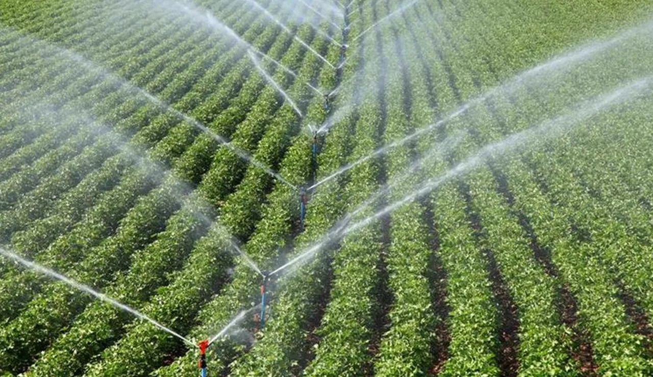 Tarım Bakanlığı gıda ve su israfına savaş açtı! Modern sistemle sulanan alanda hedef yüzde 50