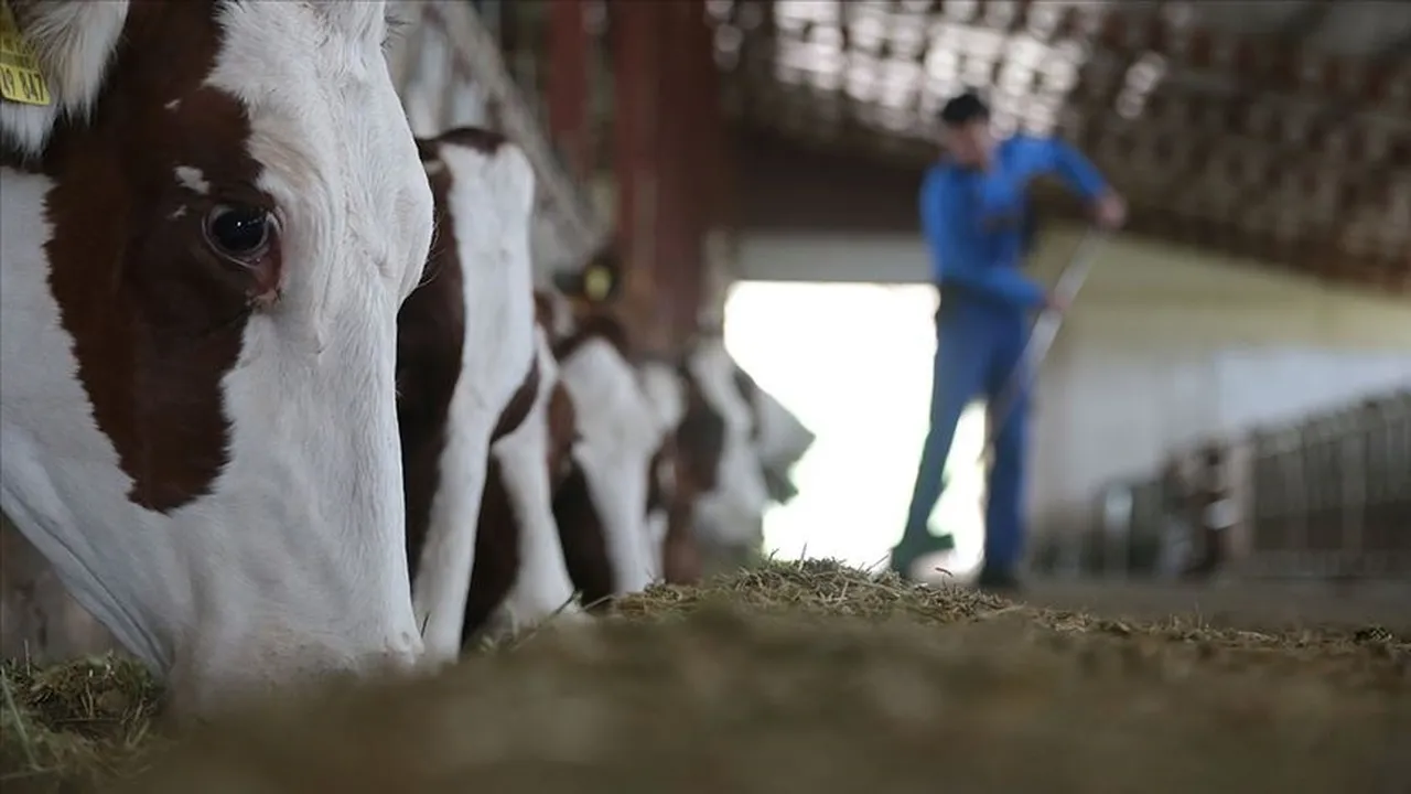 Tarım ve Orman Bakanı İbrahim Yumaklı iddialara cevap verdi: Tükettiğimiz etin yüzde 90'ı yerli