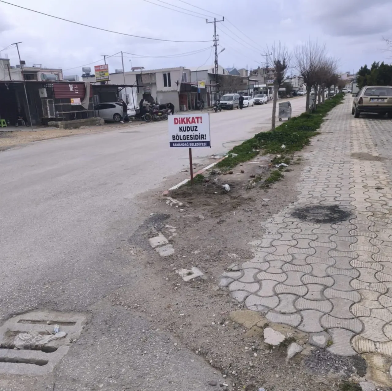 Kent diken üstünde! 4 mahalle kuduz karantinasında