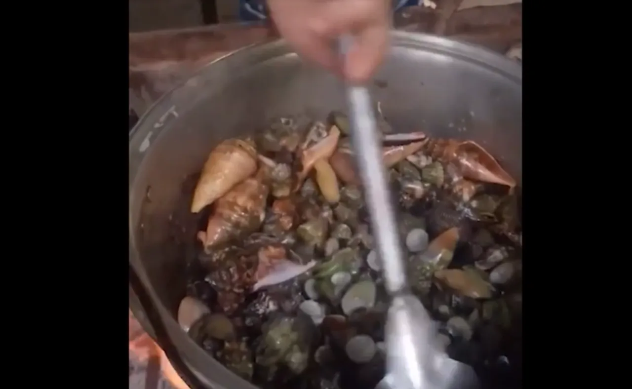 Sosyal medya etkileşimi uğruna ölüm! Zehirli "şeytan yengeci" yiyen fenomen hayatını kaybetti