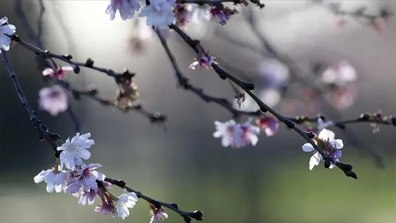 İlk cemre havaya ne zaman düşecek? 2026 cemre düşme tarihleri