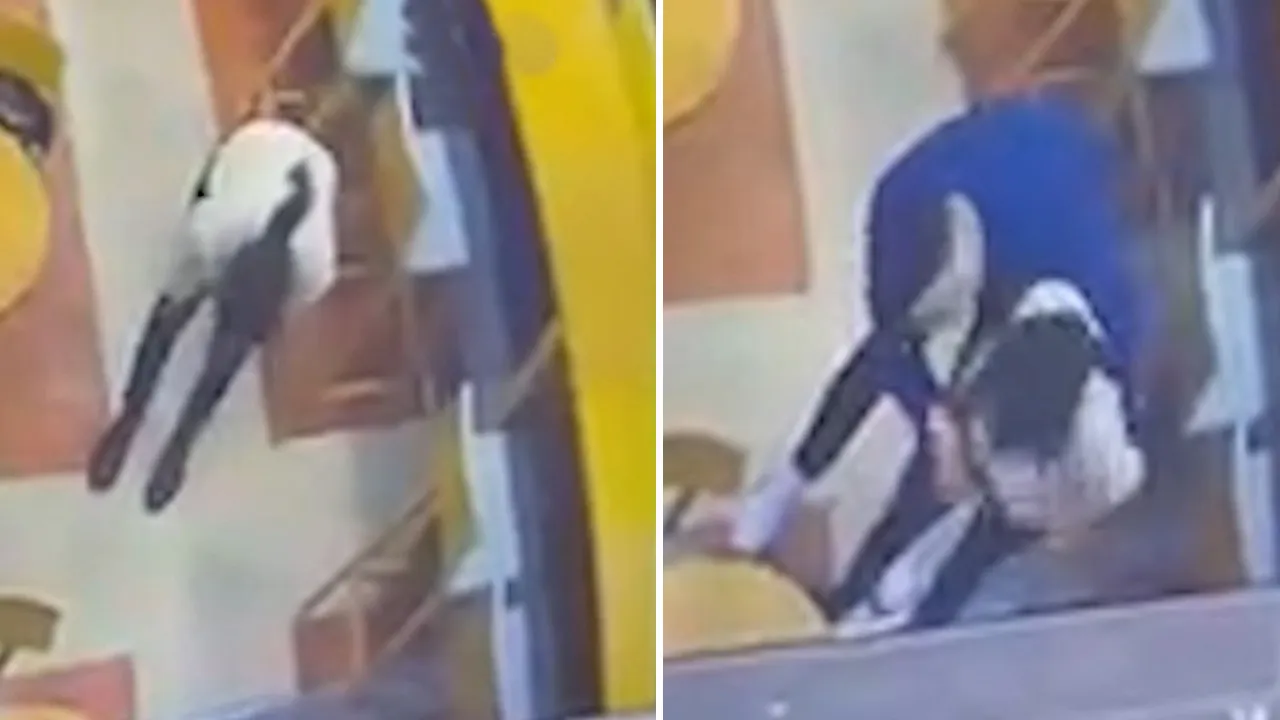 İstanbul Havalimanı'nda korkutan anlar! Boğulan yolcuya heimlich manevrası