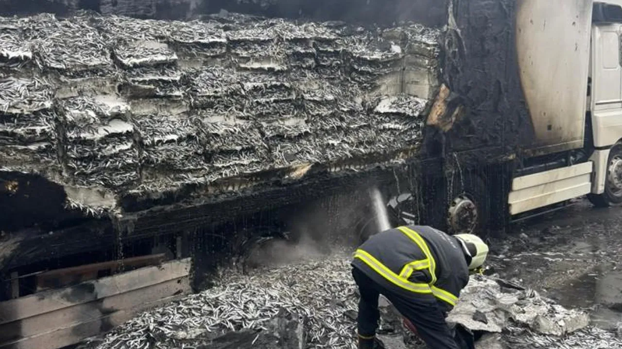 Kırklareli'nde hamsi yüklü tır yandı