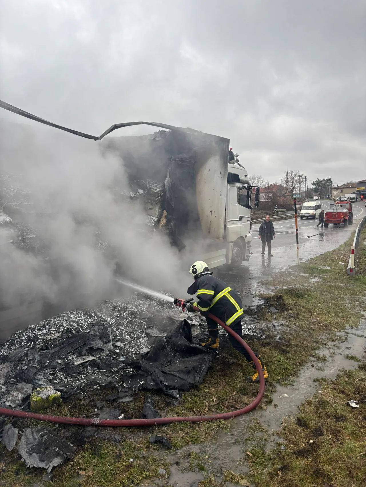 Kırklareli'nde hamsi yüklü tır yandı