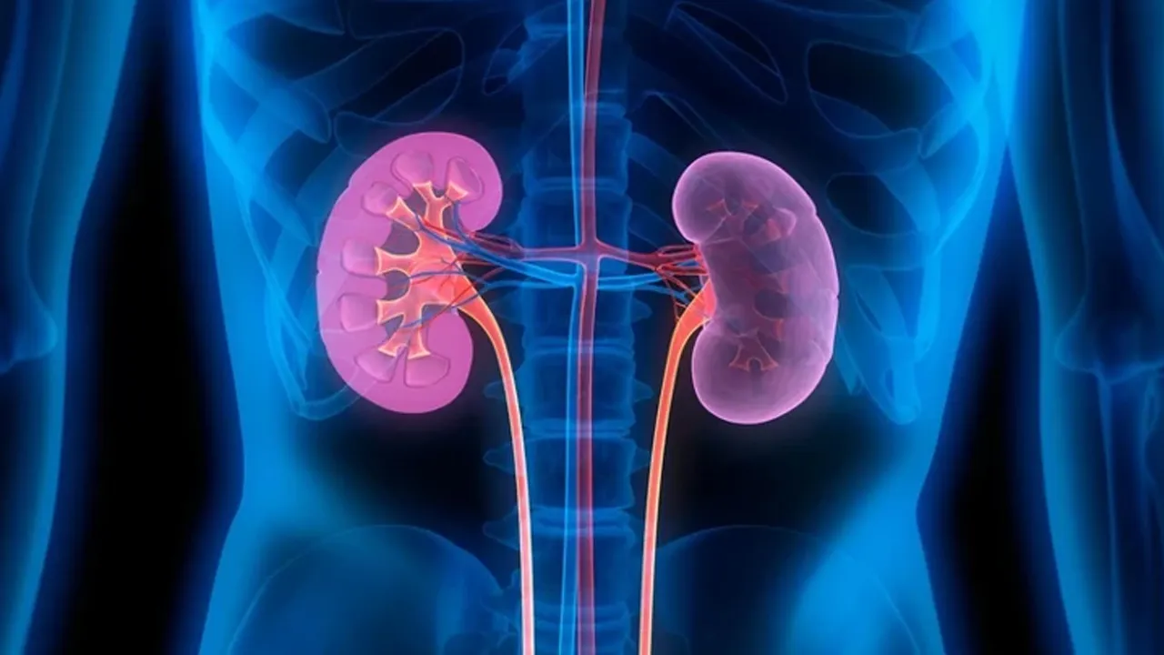 Sinsi sinsi ilerliyor: Yüksek tansiyon böbrekleri de götürüyor