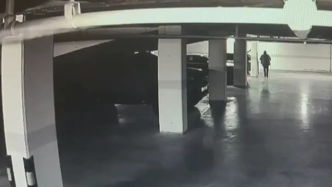 Bakırköy'de otoparkta 30 milyon dolarlık soygun! Paraların sahibi bakın kim çıktı