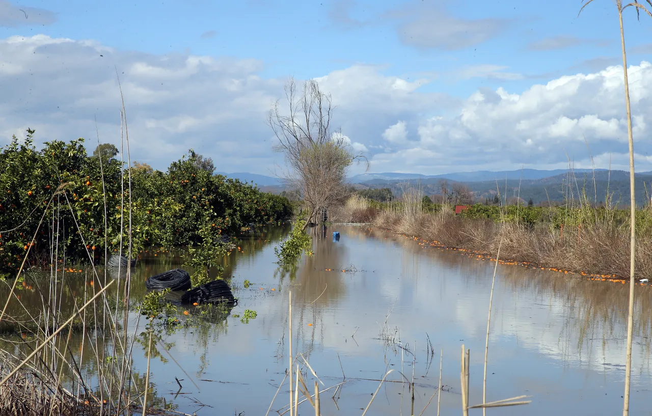 Narenciye bahçeleri su altında kaldı