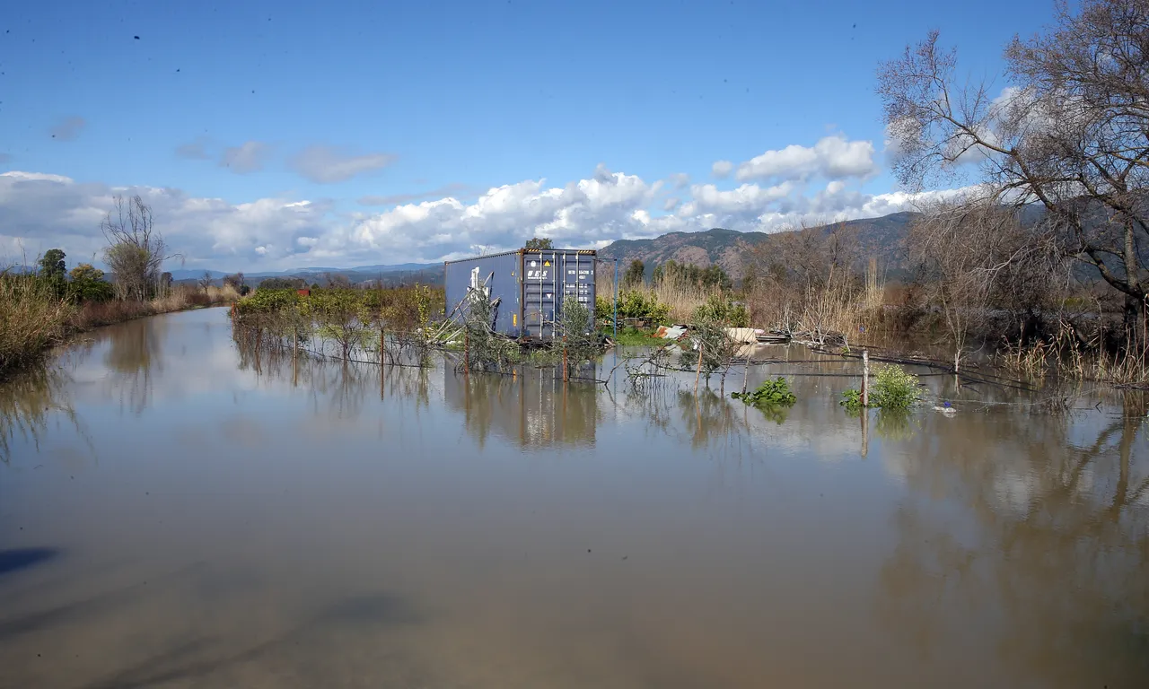 Narenciye bahçeleri su altında kaldı