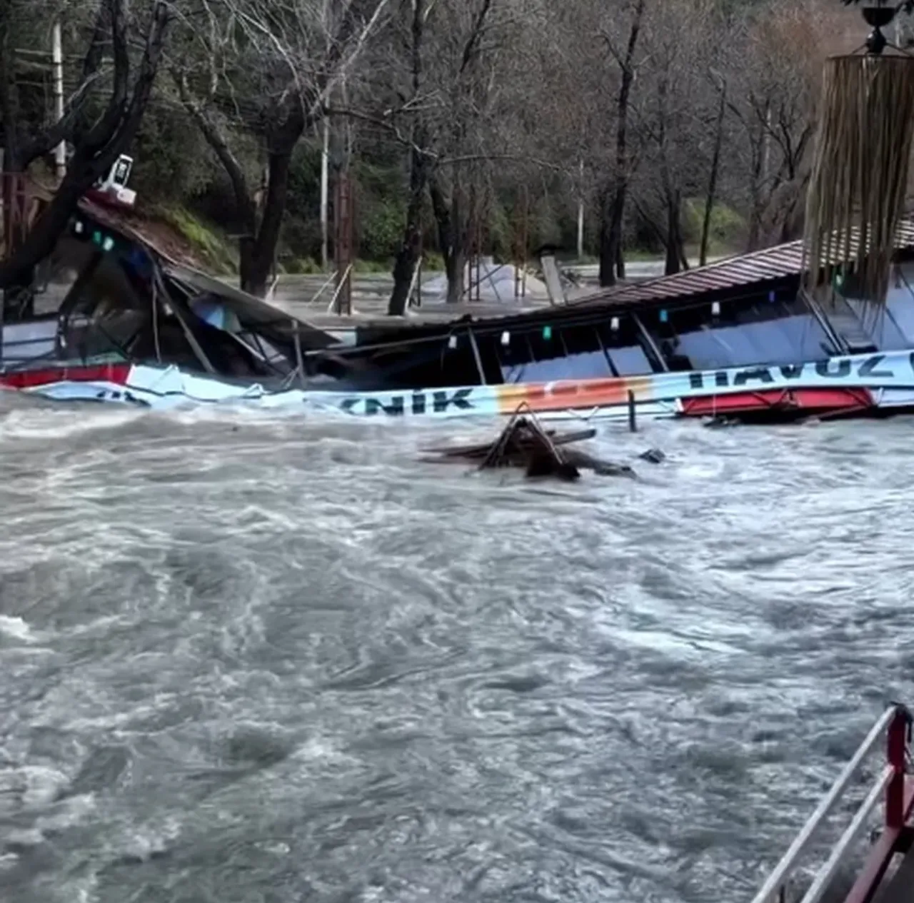 Taşan çaydaki işletme yıkıldı! Köpeği son anda kurtardılar