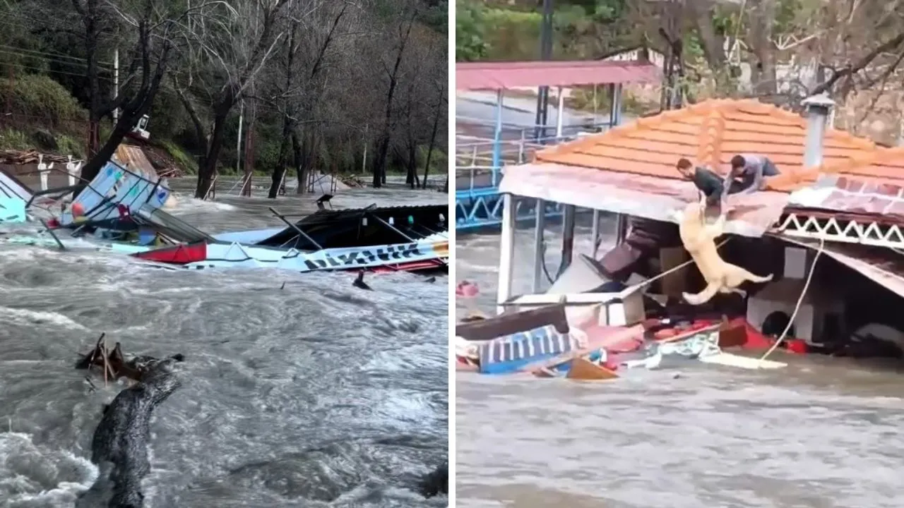 FELAKETİ YAŞADILAR!