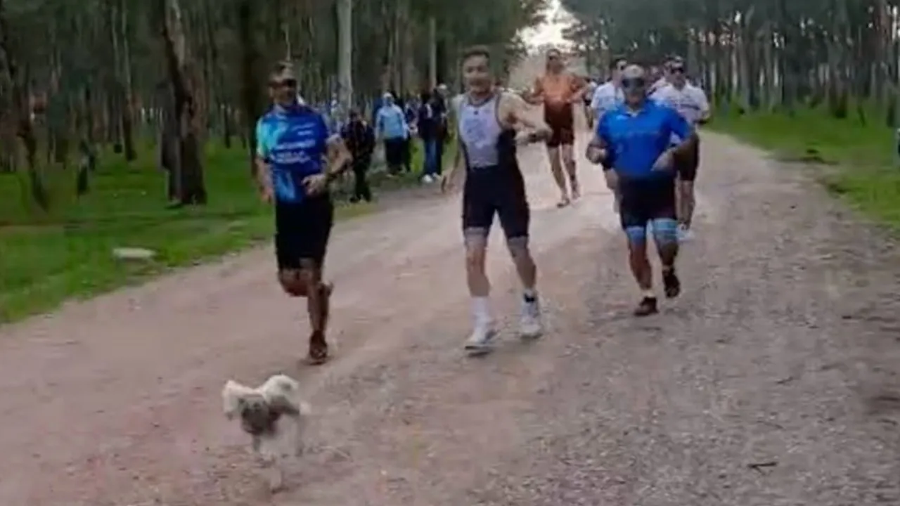 Duatlona 'kaçak kuzu' sürprizi! 