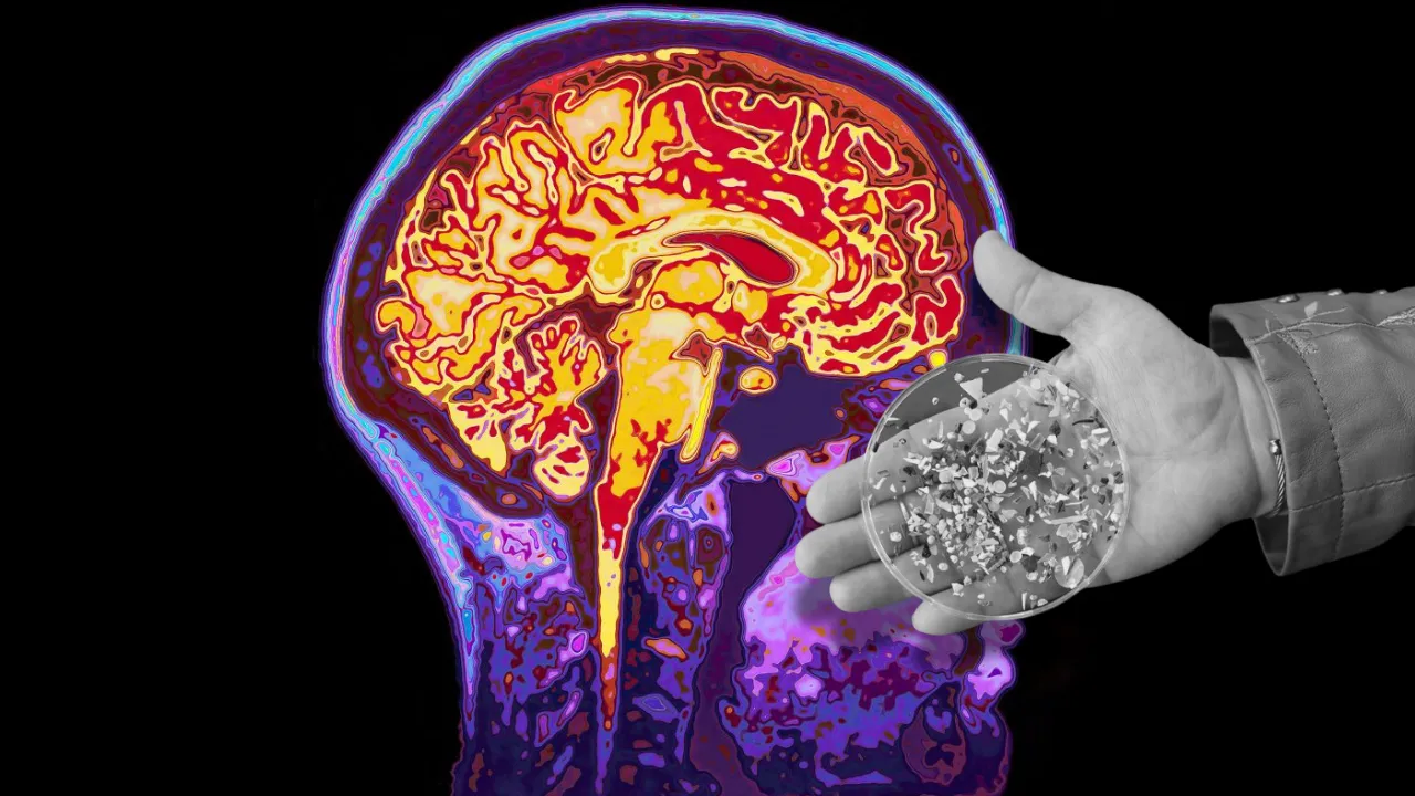 Mikroplastikler beyni sardı! Gizlice geliyor: Sıradışı belirtilerine dikkat! 