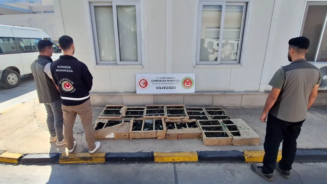 Sınırlarda rekor yakalama! Sülükten papağana, maymundan düveye...