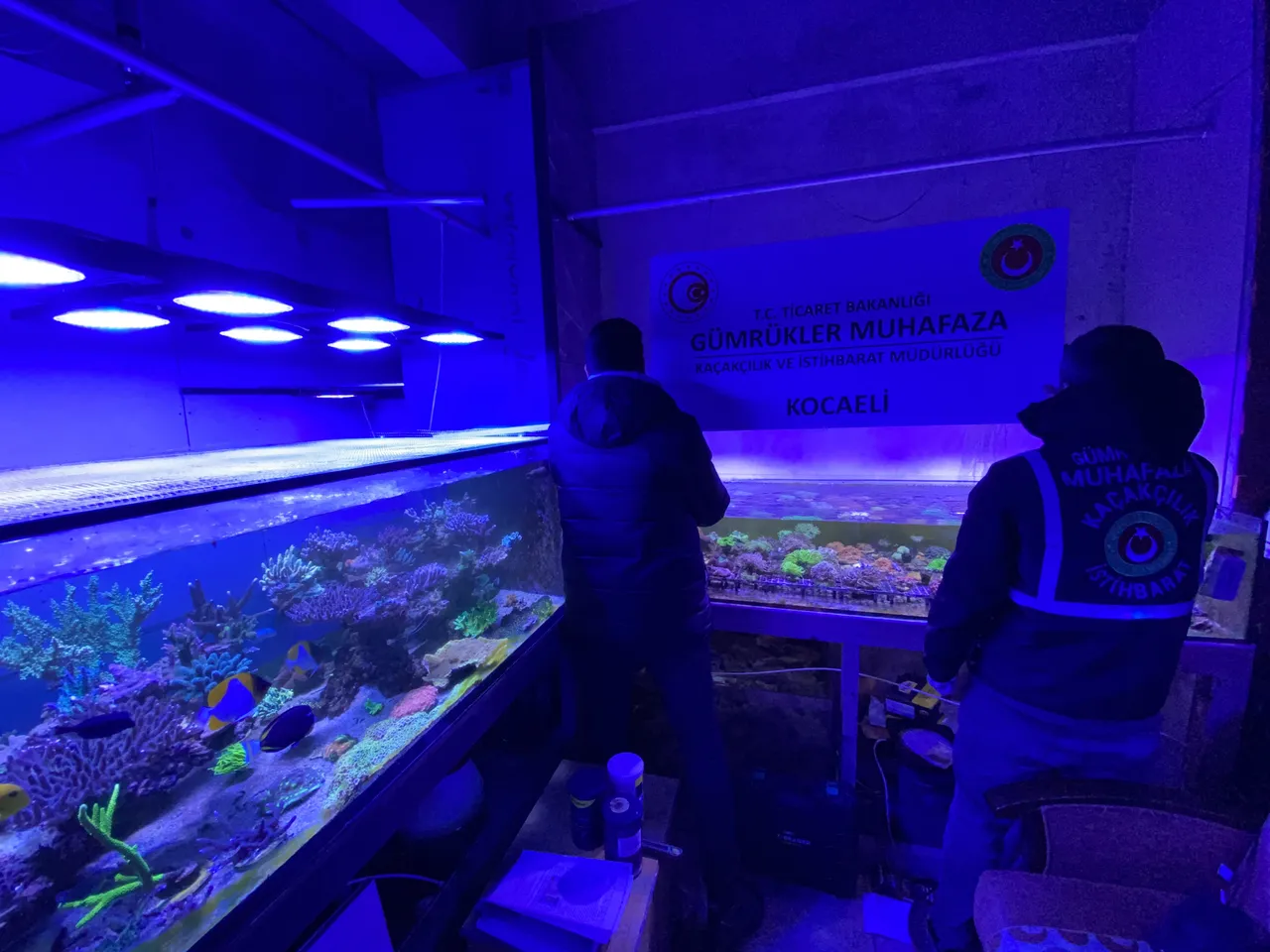 Sınırlarda rekor yakalama! Sülükten papağana, maymundan düveye...